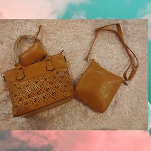 Handbag/crossbody bag